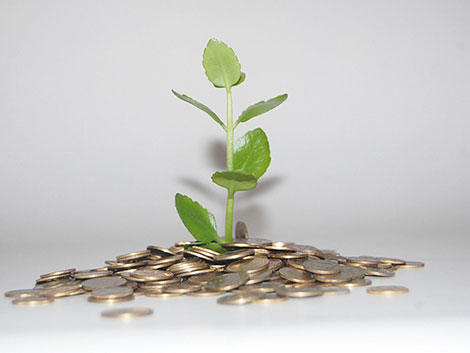 云呼试用三分钟